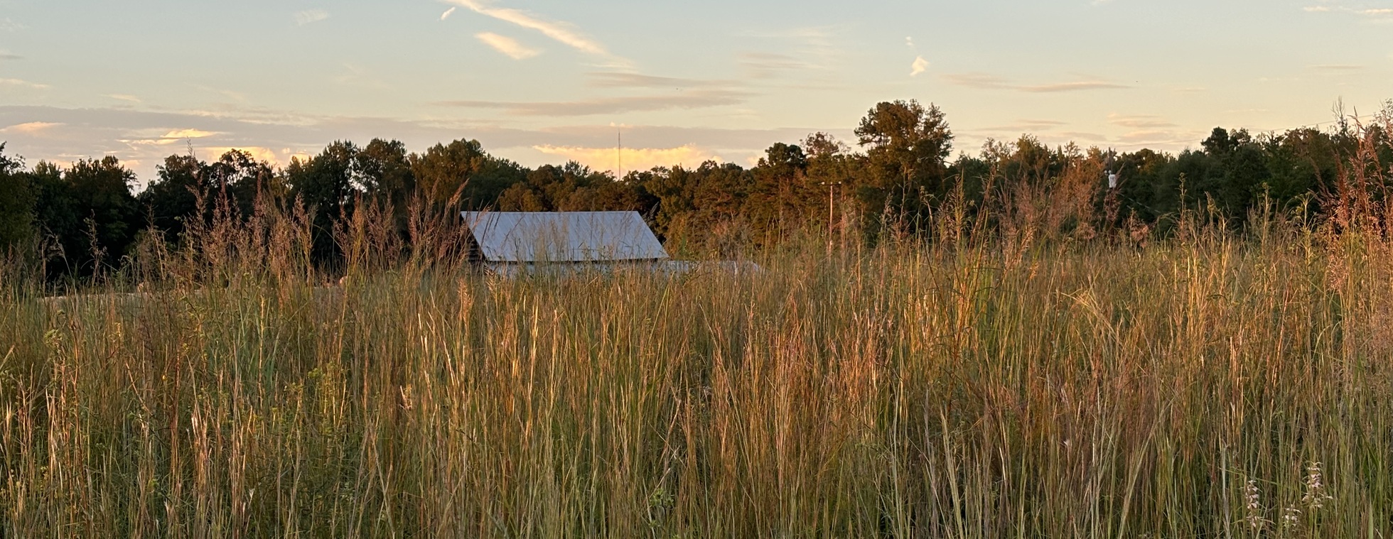 Bluestem Poetry Amble 2026